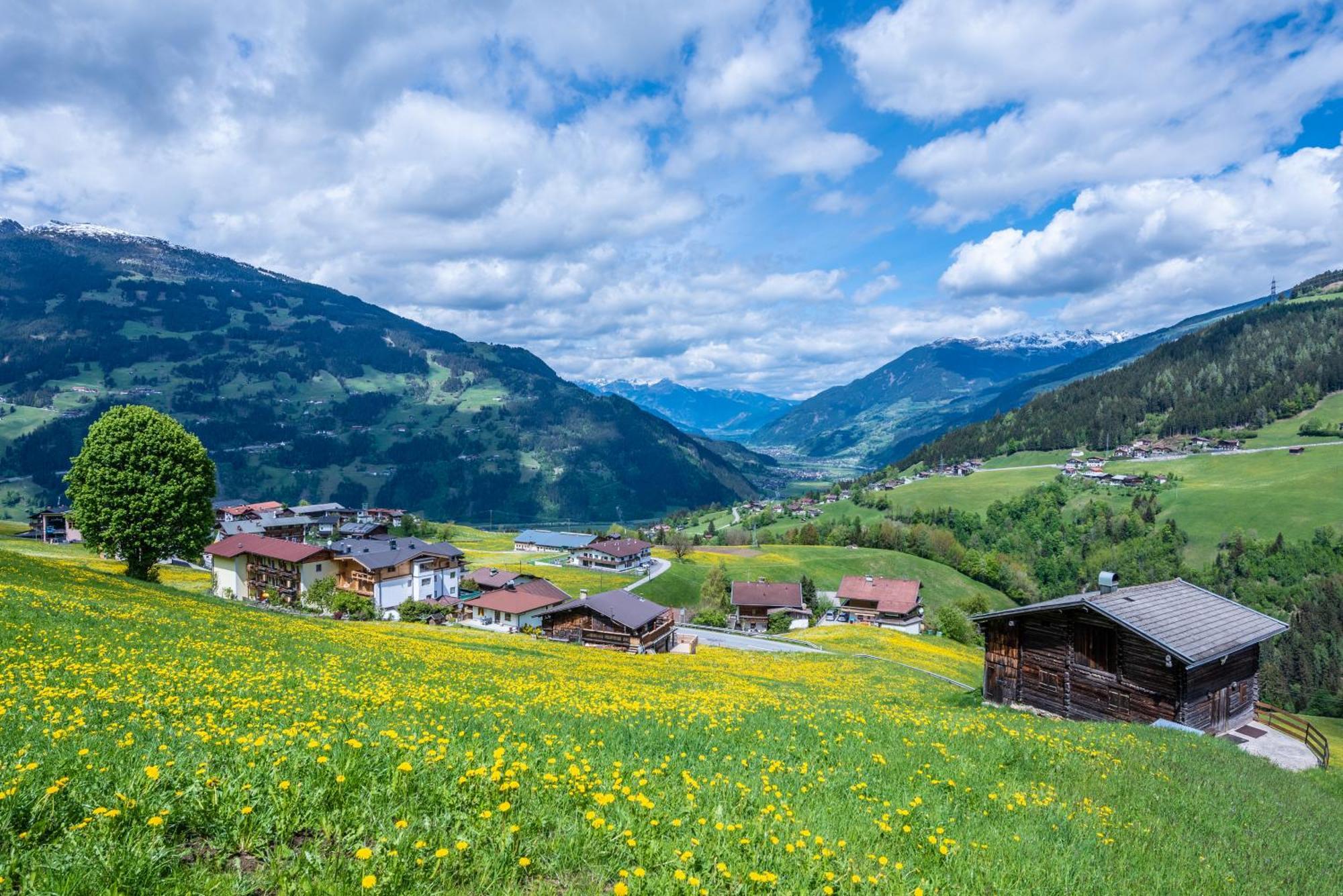 Ferienwohnung Ausblick Zillertal Hainzenberg Dış mekan fotoğraf