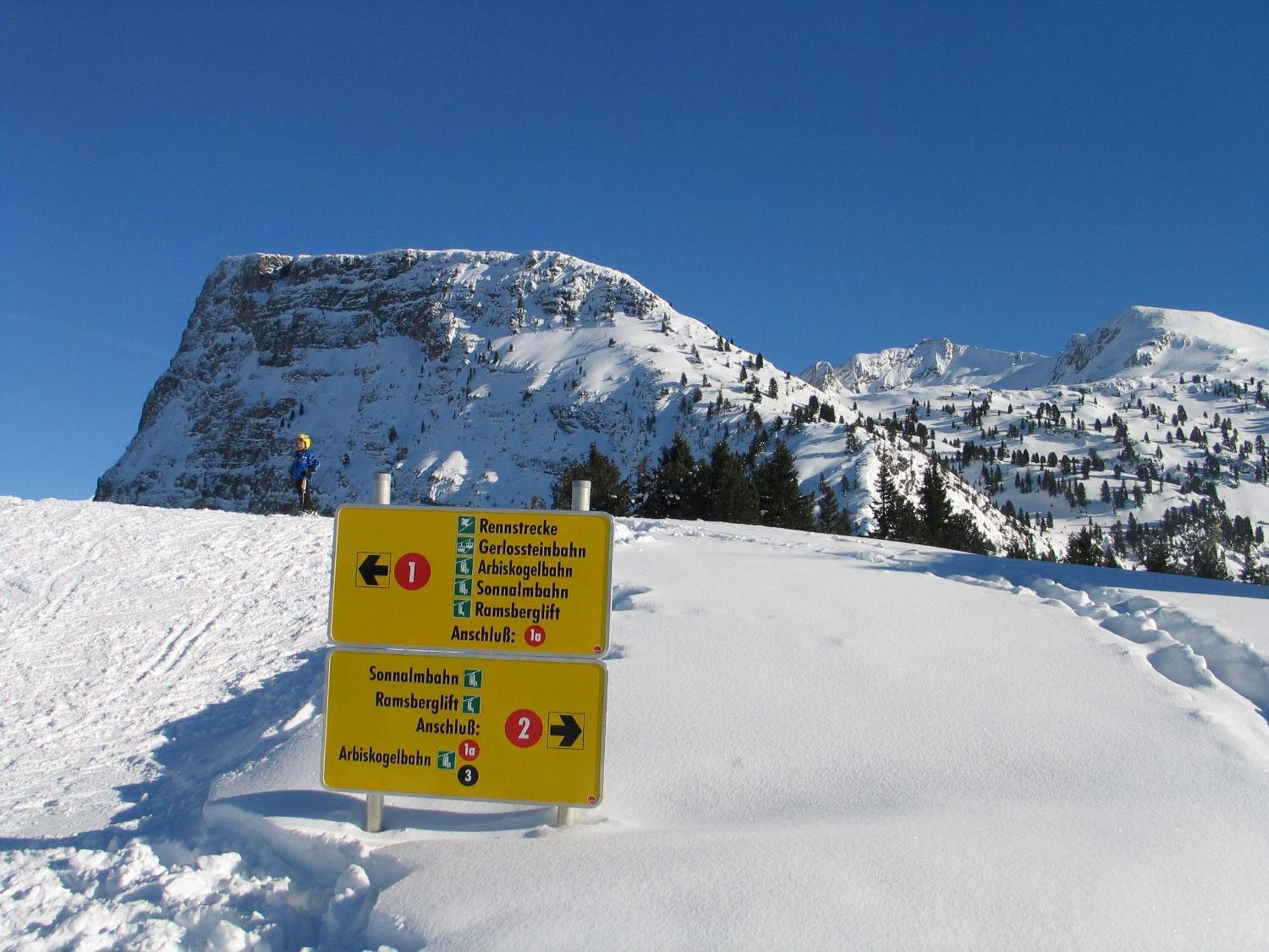 Ferienwohnung Ausblick Zillertal Hainzenberg Dış mekan fotoğraf